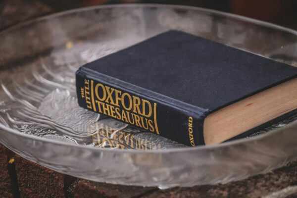 Elegant hardcover thesaurus with classic design on a textured glass plate.